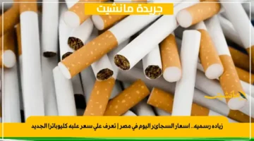 زيادة رسمية.. أسعار السجائر اليوم في مصر | تعرف على سعر علبة كليوباترا الجديد